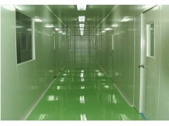 河南食品廠空氣凈化工程